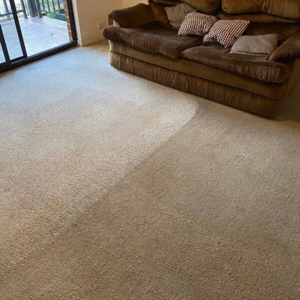 Professional carpet steam cleaning