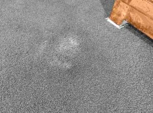 proper carpet cleaning Greenwood