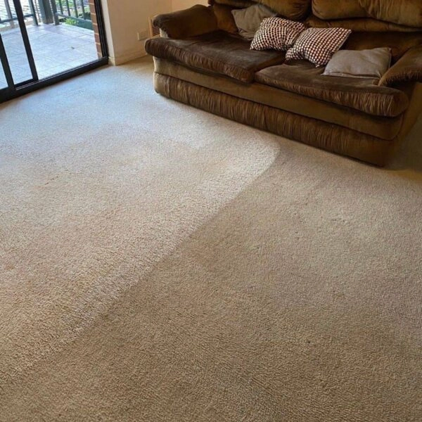 Professional carpet steam cleaning